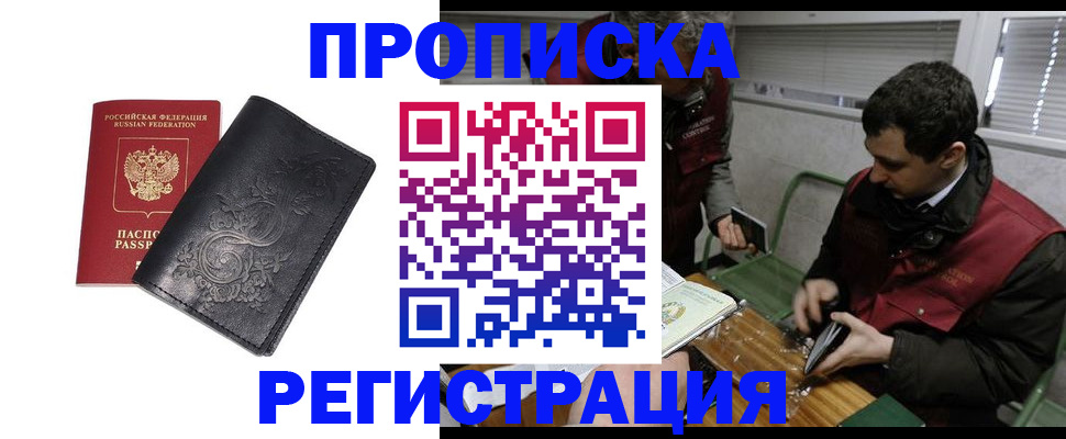 прописка поиск в Зее